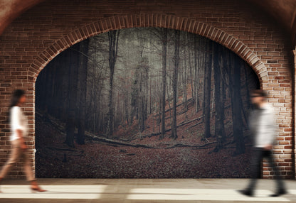 Paisaje Bosque en Otoño