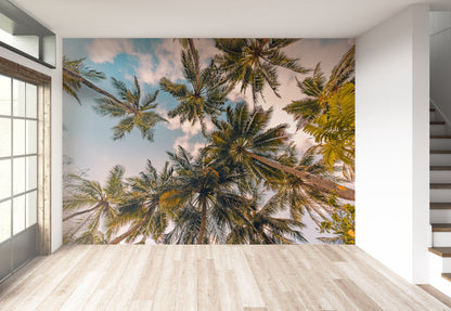 Palmeras y Cielo