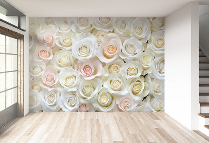 Fondo Rosas Blancas y Melones