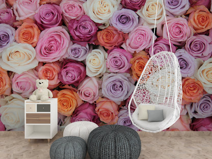 Pink & White Roses