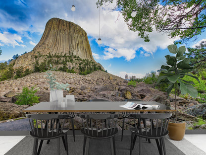 Devil's Tower Close Encounters