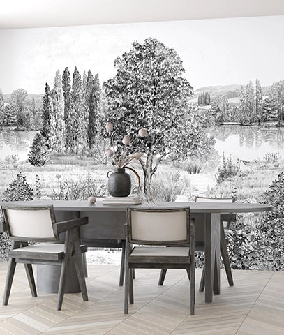 Paisaje Lago Precioso Blanco y Negro