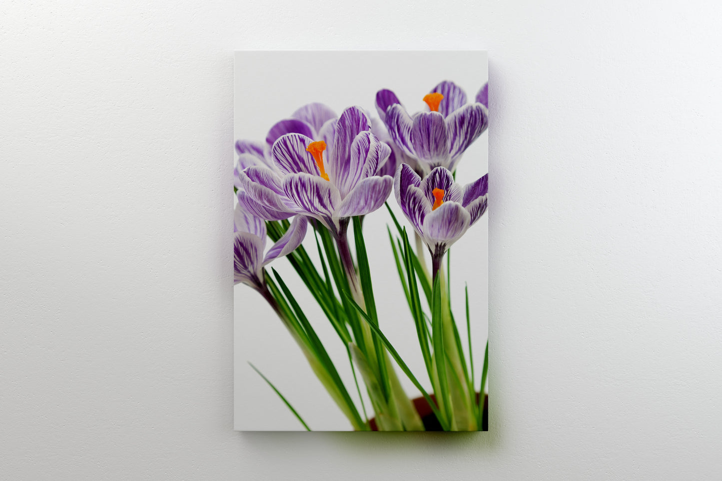 Canvas Decorativo Flowers Close-Up