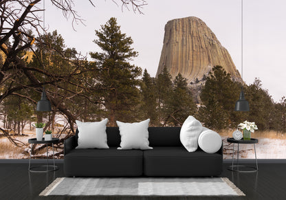 Devil's Tower Close Encounters