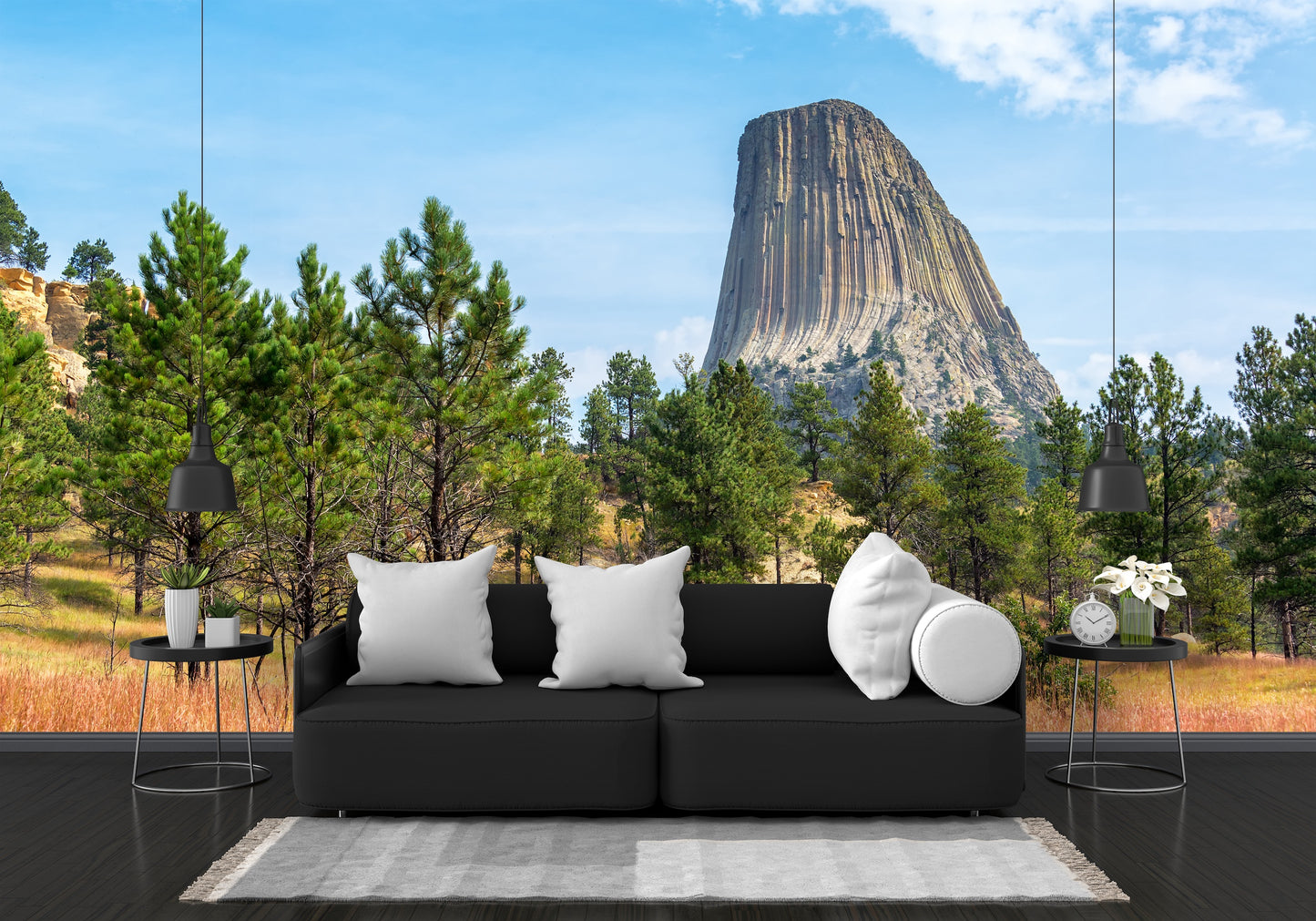 Devil's Tower Close Encounters