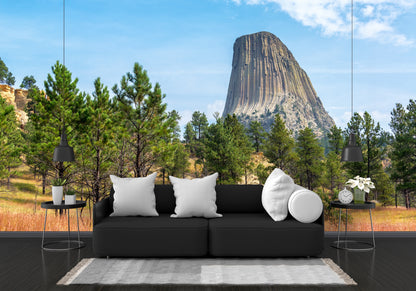 Devil's Tower Close Encounters