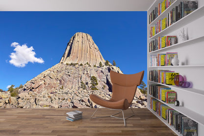 Devil's Tower Close Encounters