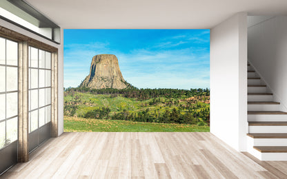 Devil's Tower Close Encounters