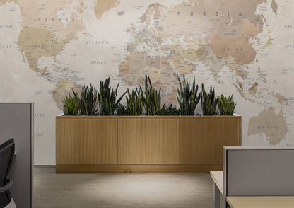 Europrint World Map Earth Tones