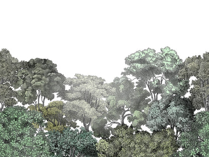 Bellewood Forest Greens