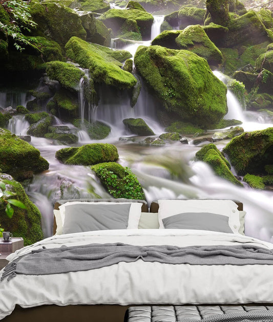 Paisaje Cascada y Piedras Cubiertas de Musgo