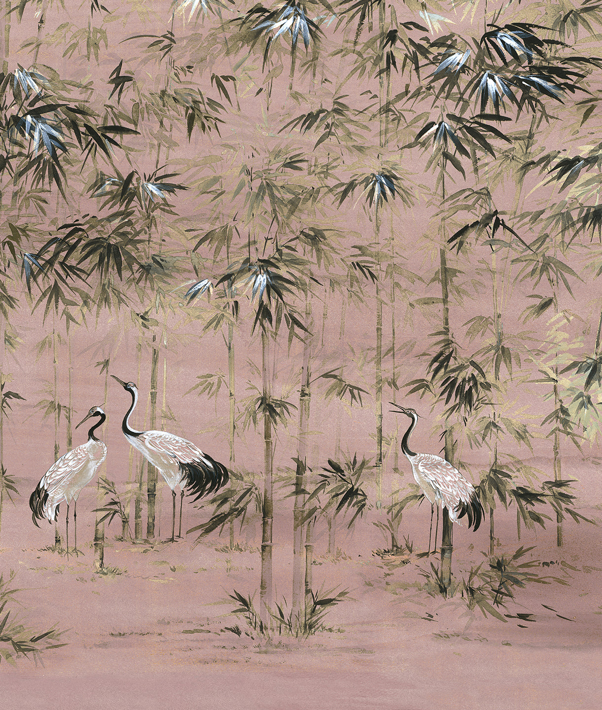 Garzas en Bosque de Bamboo - Sunrise