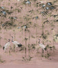 Garzas en Bosque de Bamboo - Sunrise