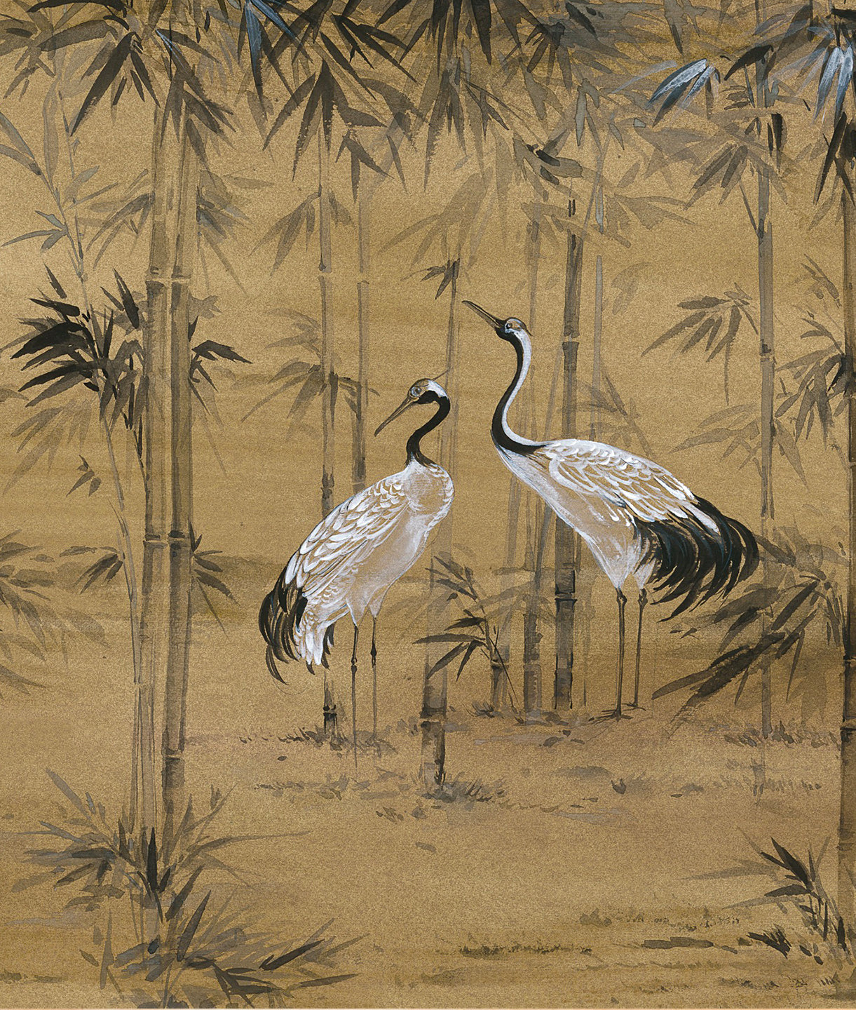 Garzas en Bosque de Bamboo - Dawn