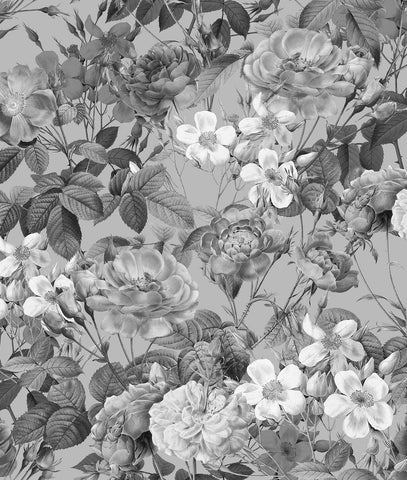 Monochrome Flowers