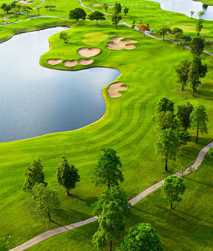 Golf Course Bird's View