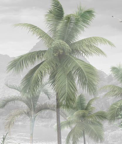 Oasis, Montañas y Palmeras