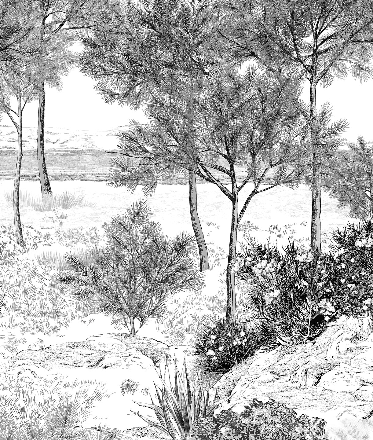 Ilustración Bosque Arboles Arena