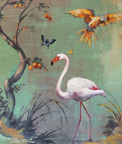 Tucán, Flamingos y Aves