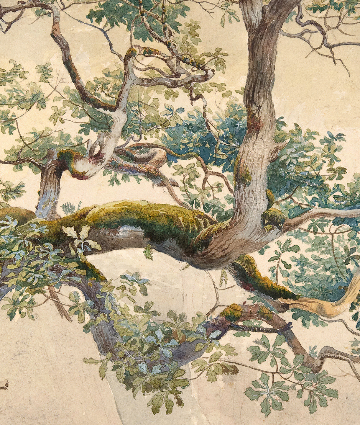 Tree Art