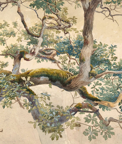 Tree Art