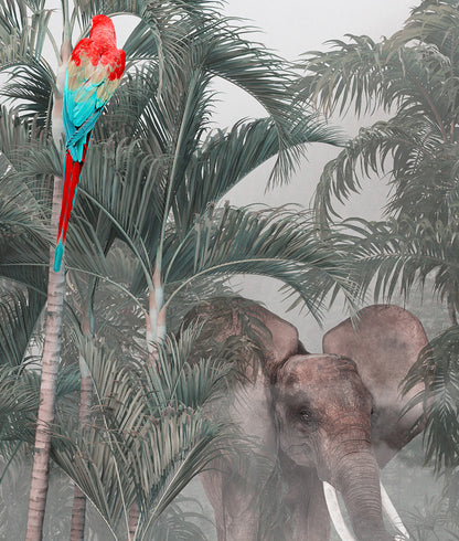 Guacamayas y Selva Tropical