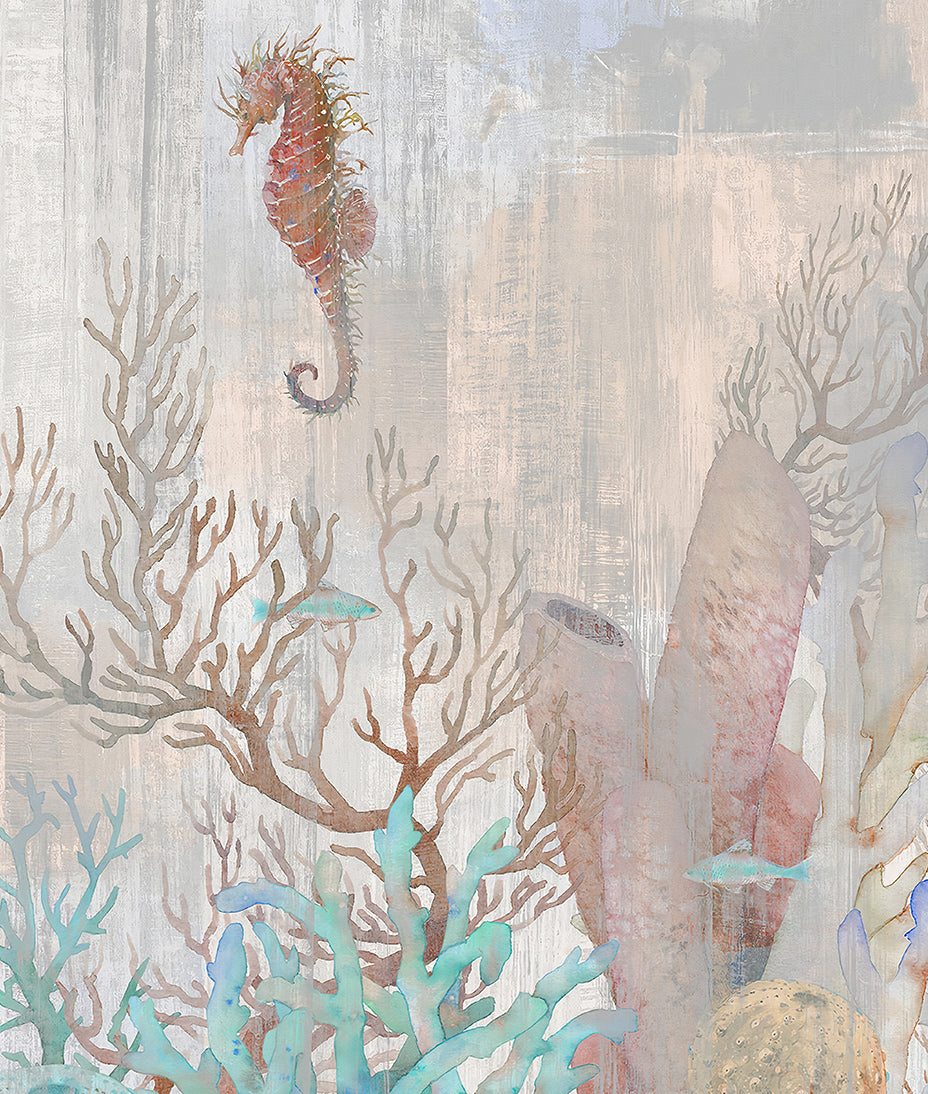 Seahorse & Corals