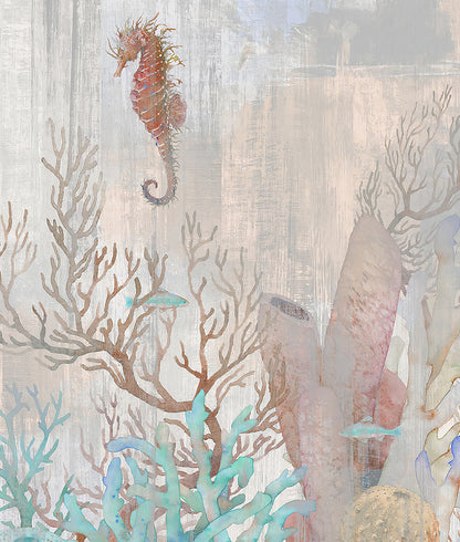 Seahorse & Corals