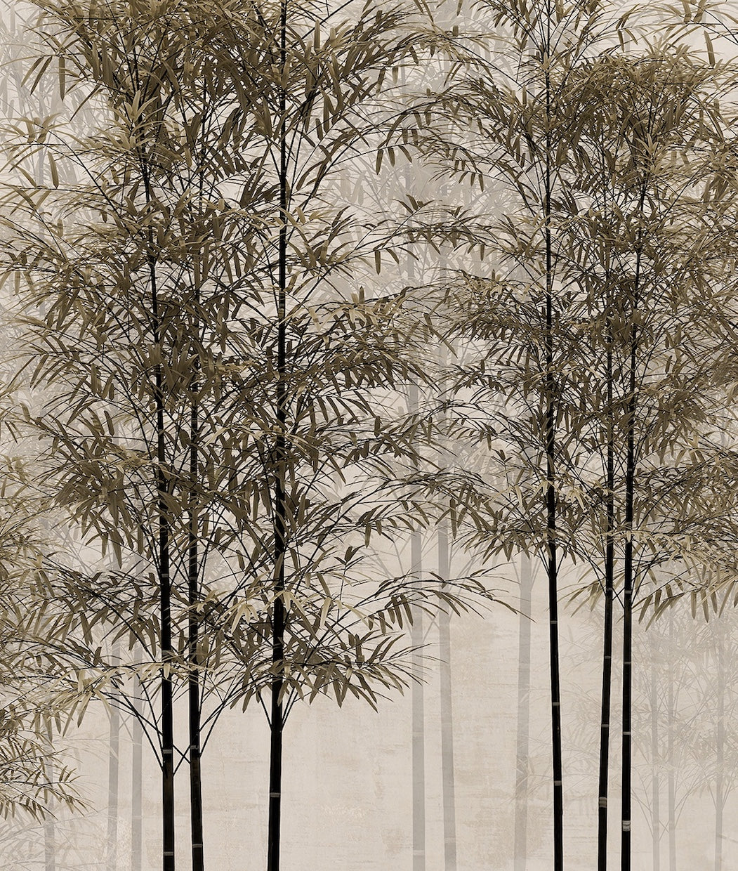 Arboles Tropicales en Otoño