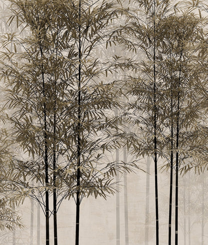 Arboles Tropicales en Otoño