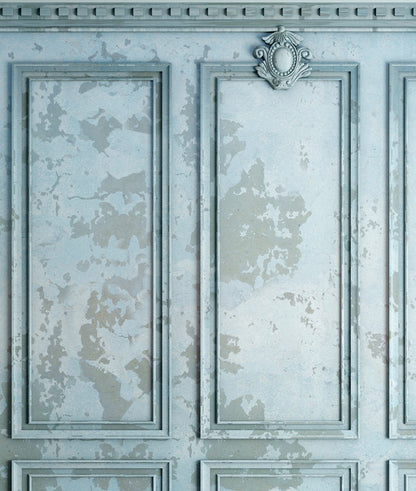 Grunge French Panel - Light Blue