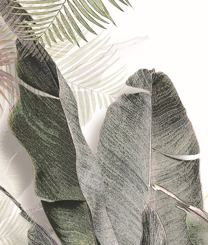 Plantas Palmeras Tropicales