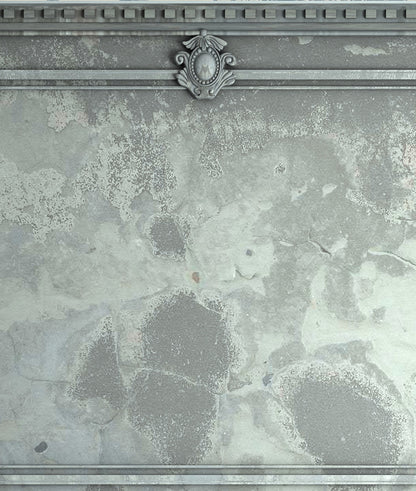 Grunge French Panel - Greenish Grey