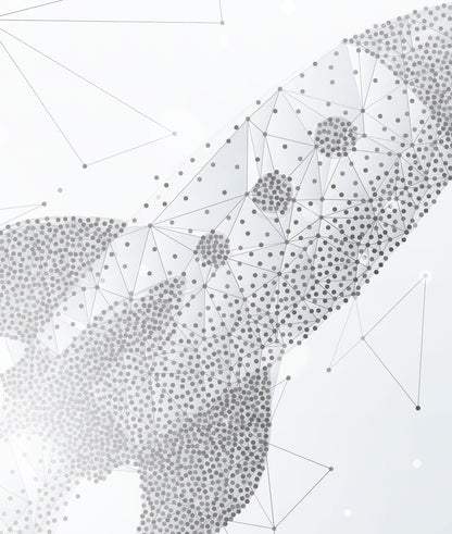 Rocket Launch Dots & Poligons