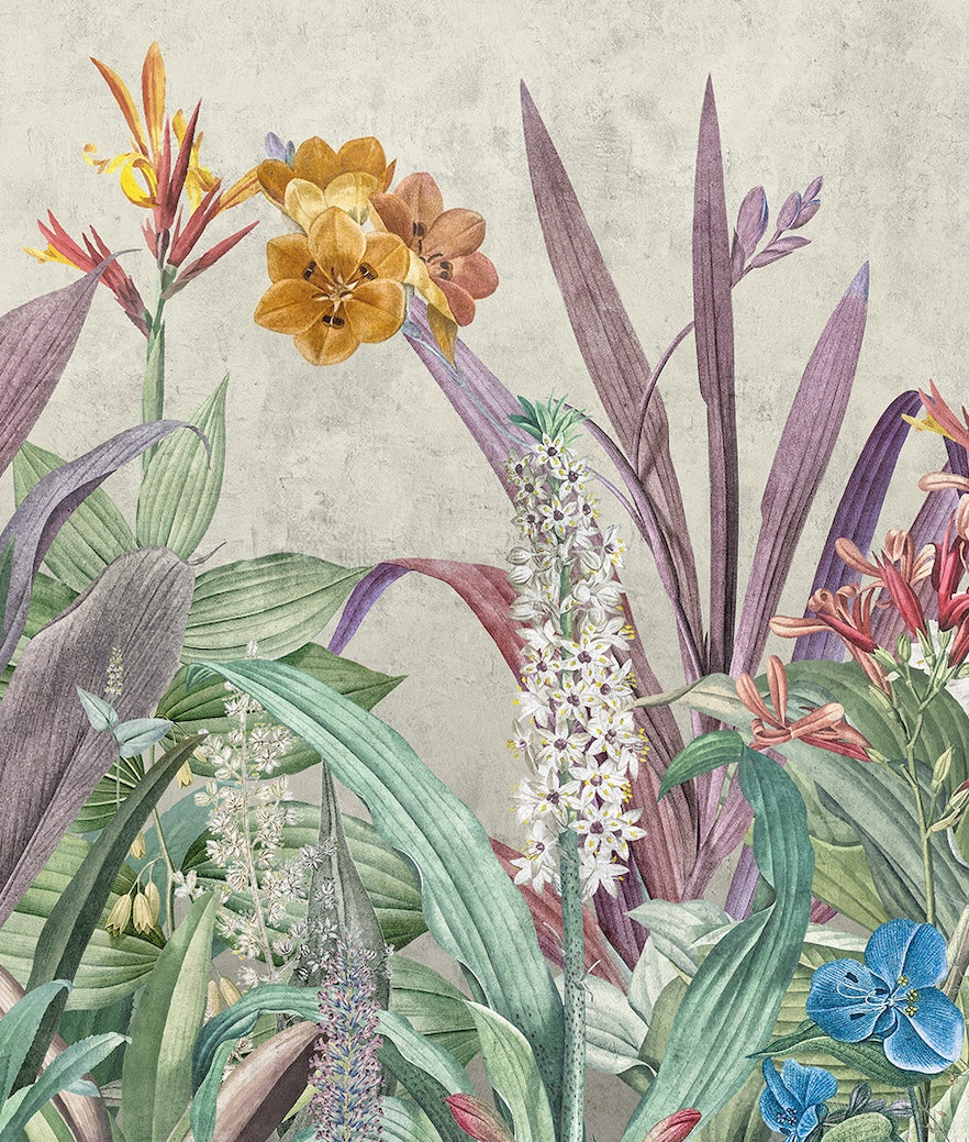 Ave de Paraíso y Plantas Tropicales