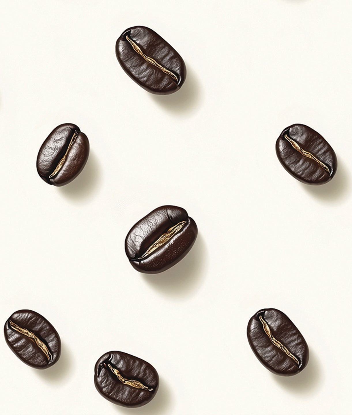 Coffee Beans / Granos de Café I