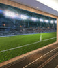 Soccer Stadium