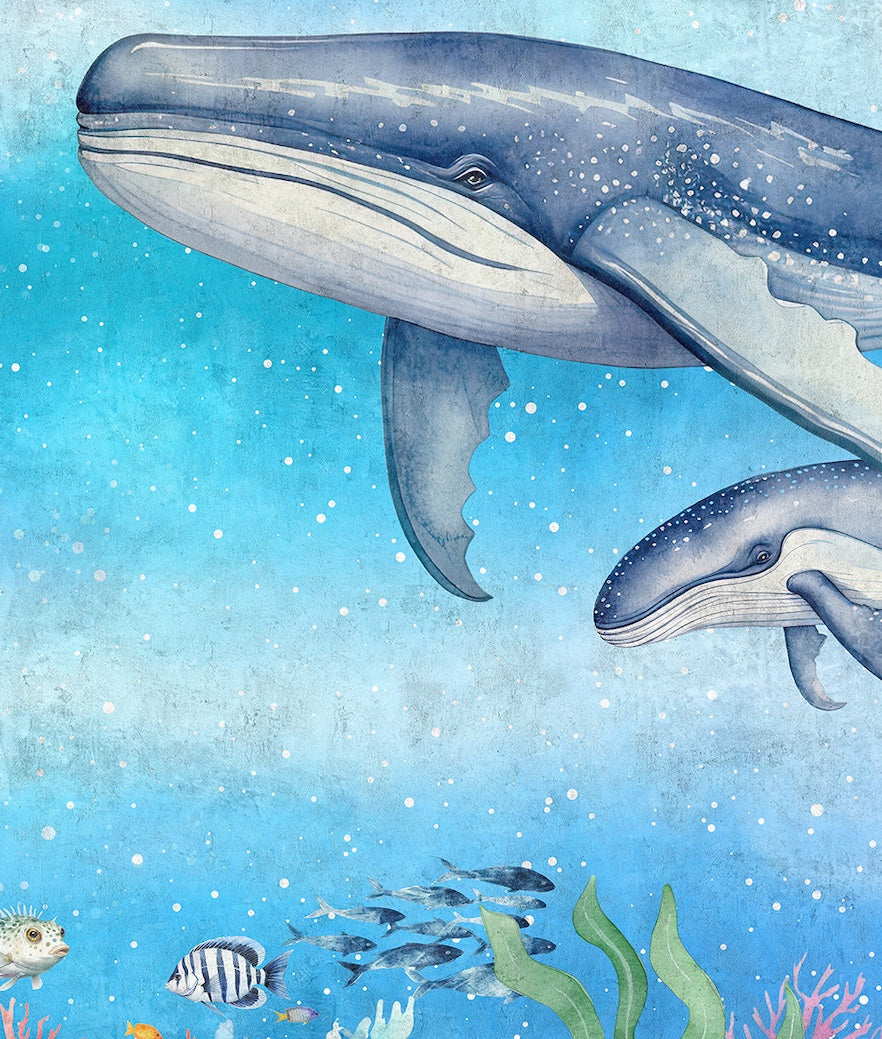 Ballenas, Peces y Corales Fondo del Mar
