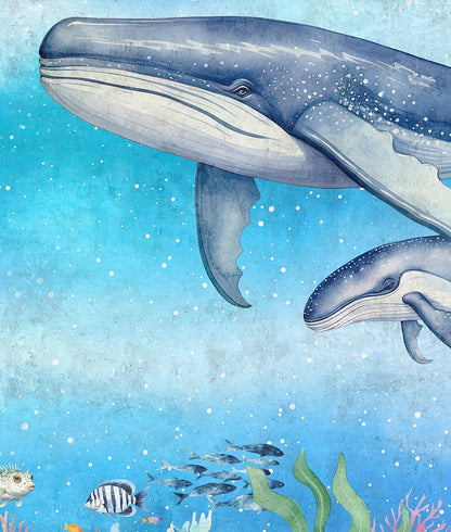 Ballenas, Peces y Corales Fondo del Mar