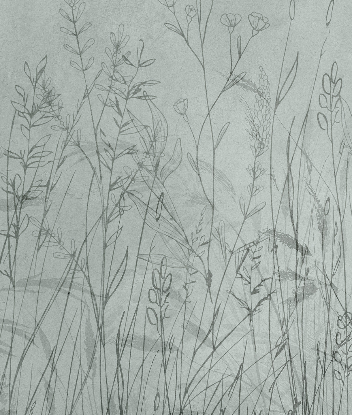 Paisaje Trazo Silvestre Plantas y Espigas - Sage