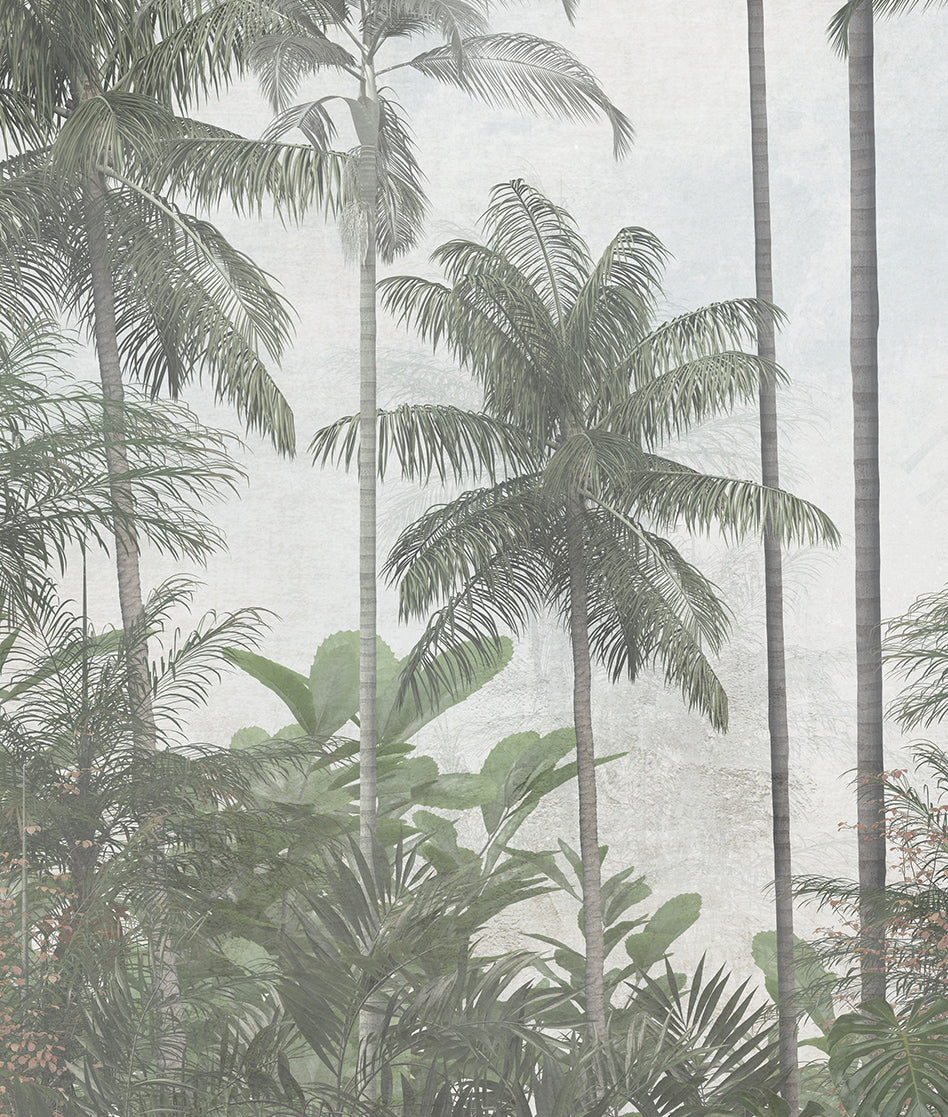 Paisaje Palmeras Tropicales II