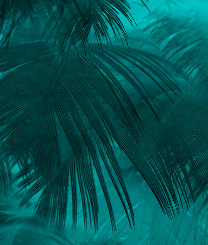 Turquoise Tropical Ferns