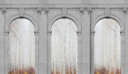 Arcos de Cantera y Varios Paisajes - Gris