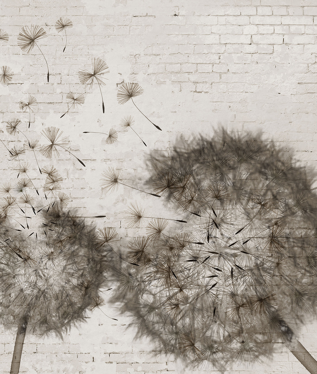 Muro Ladrillo Off White y Dandelion