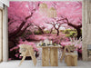 Cherry Blossom Trees and River