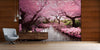 Cherry Blossom Trees and River