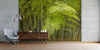 Bosque de Bamboo