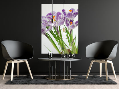 Canvas Decorativo Flowers Close-Up