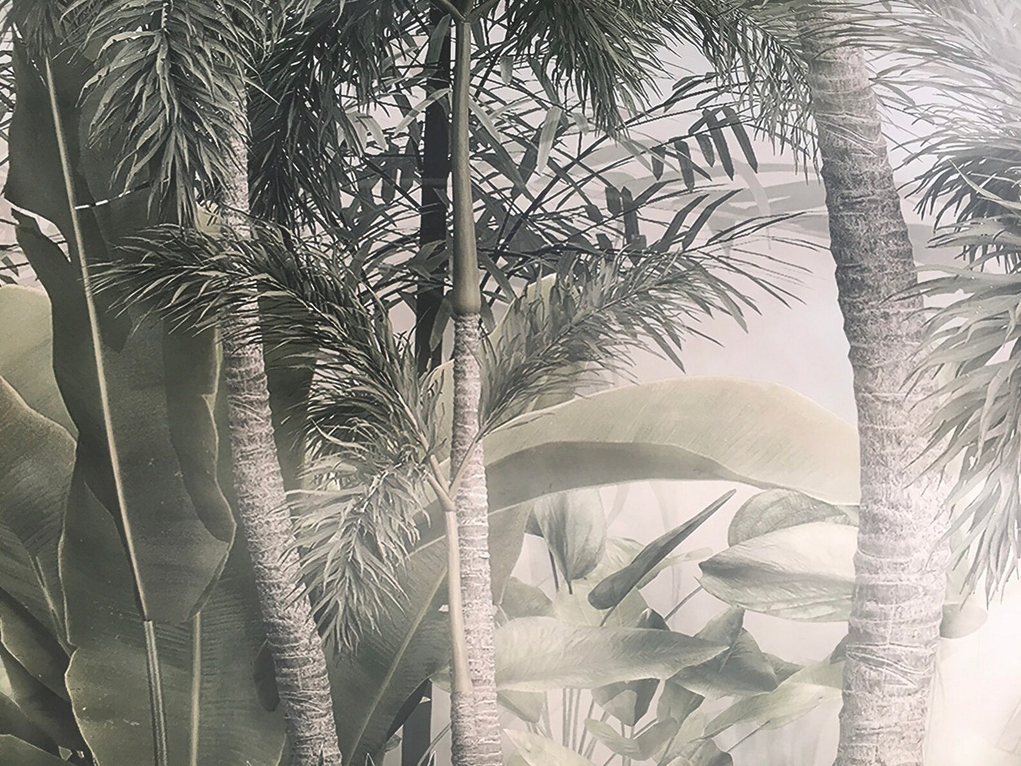Europrint Palm Trees in Foggy Mood