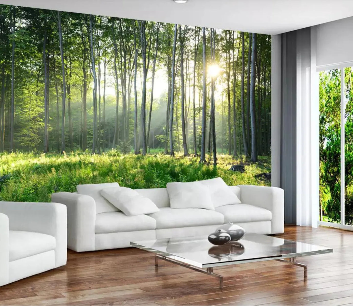 Trees in Sunshine Forest